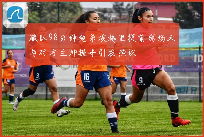 狼队98分钟绝杀埃梅里提前离场未与对方主帅握手引发热议